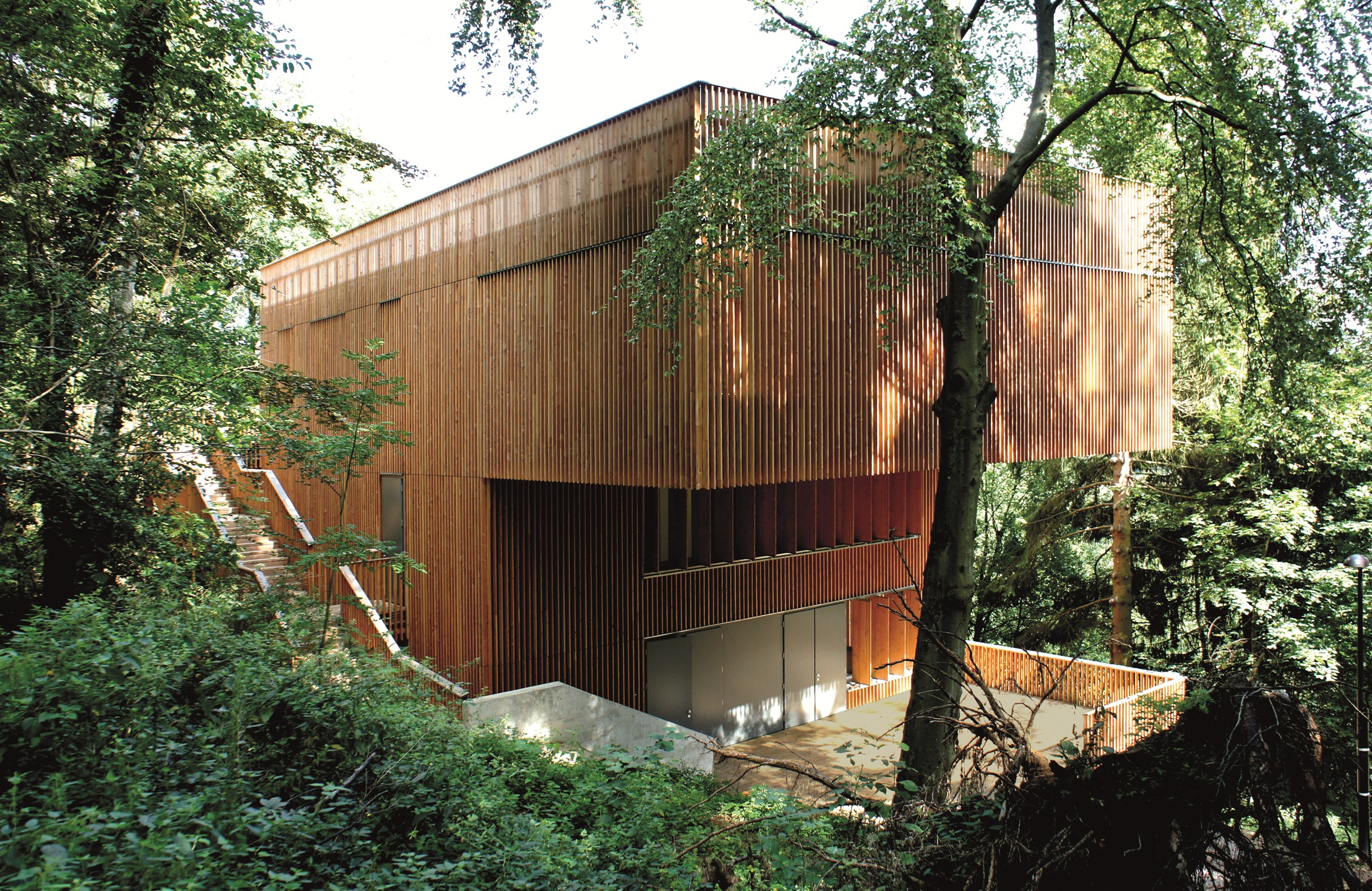 transformation du home scout “Les Aigles”